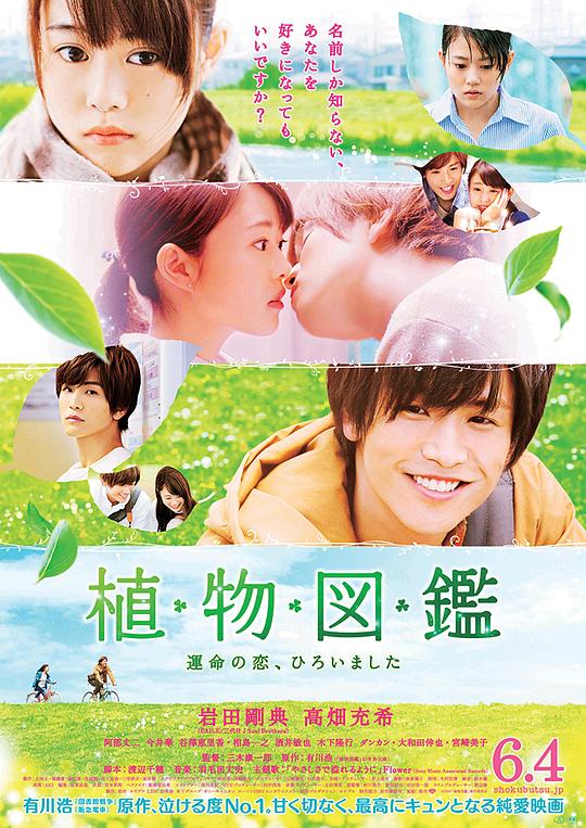 植物图鉴 植物図鑑 運命の恋ひろいました 封面