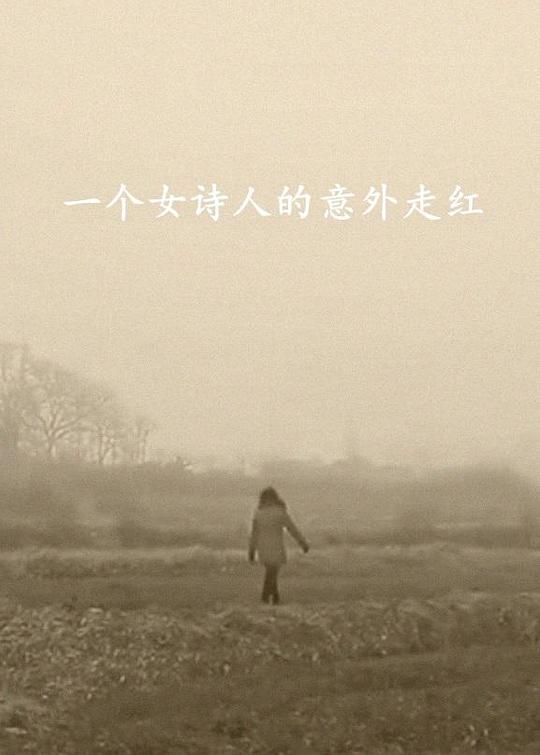 一个女诗人的意外走红 封面