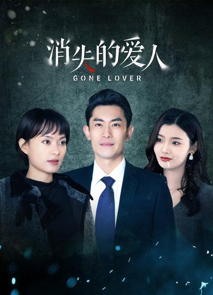 消失的爱人 封面