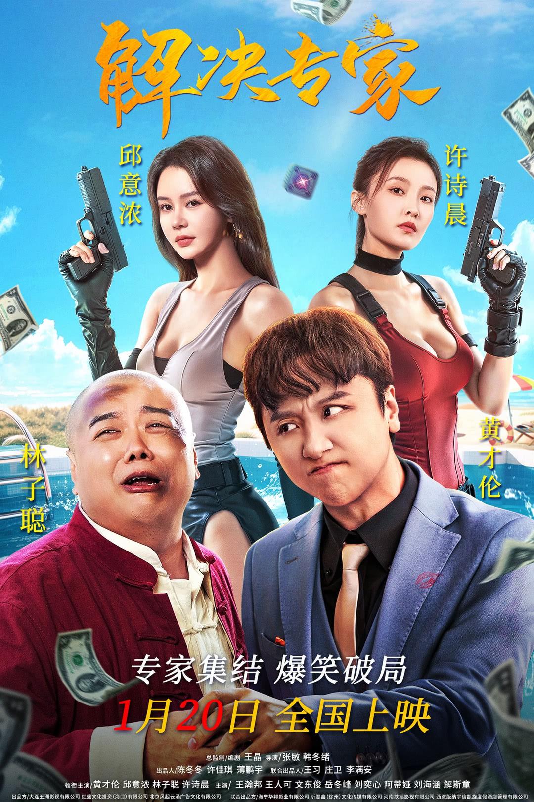 解决专家 海报