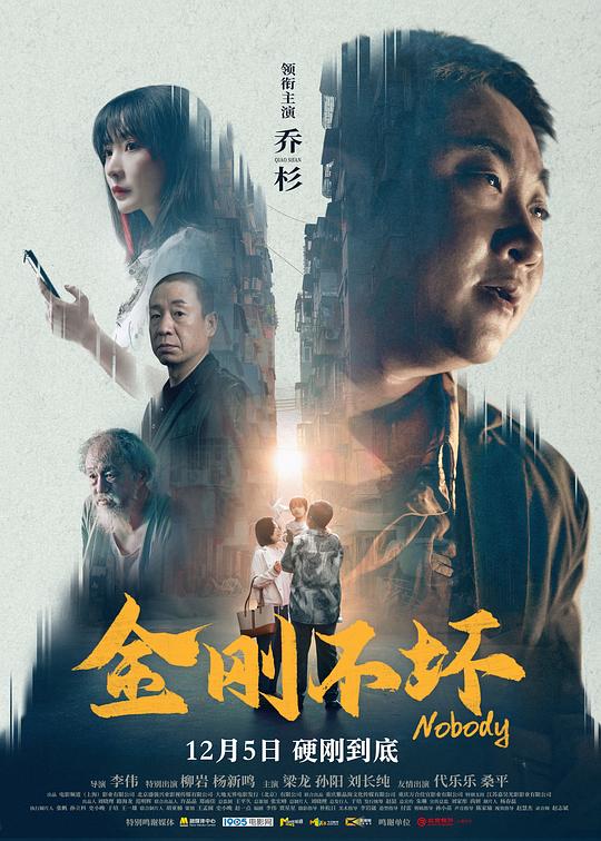金刚不坏 封面