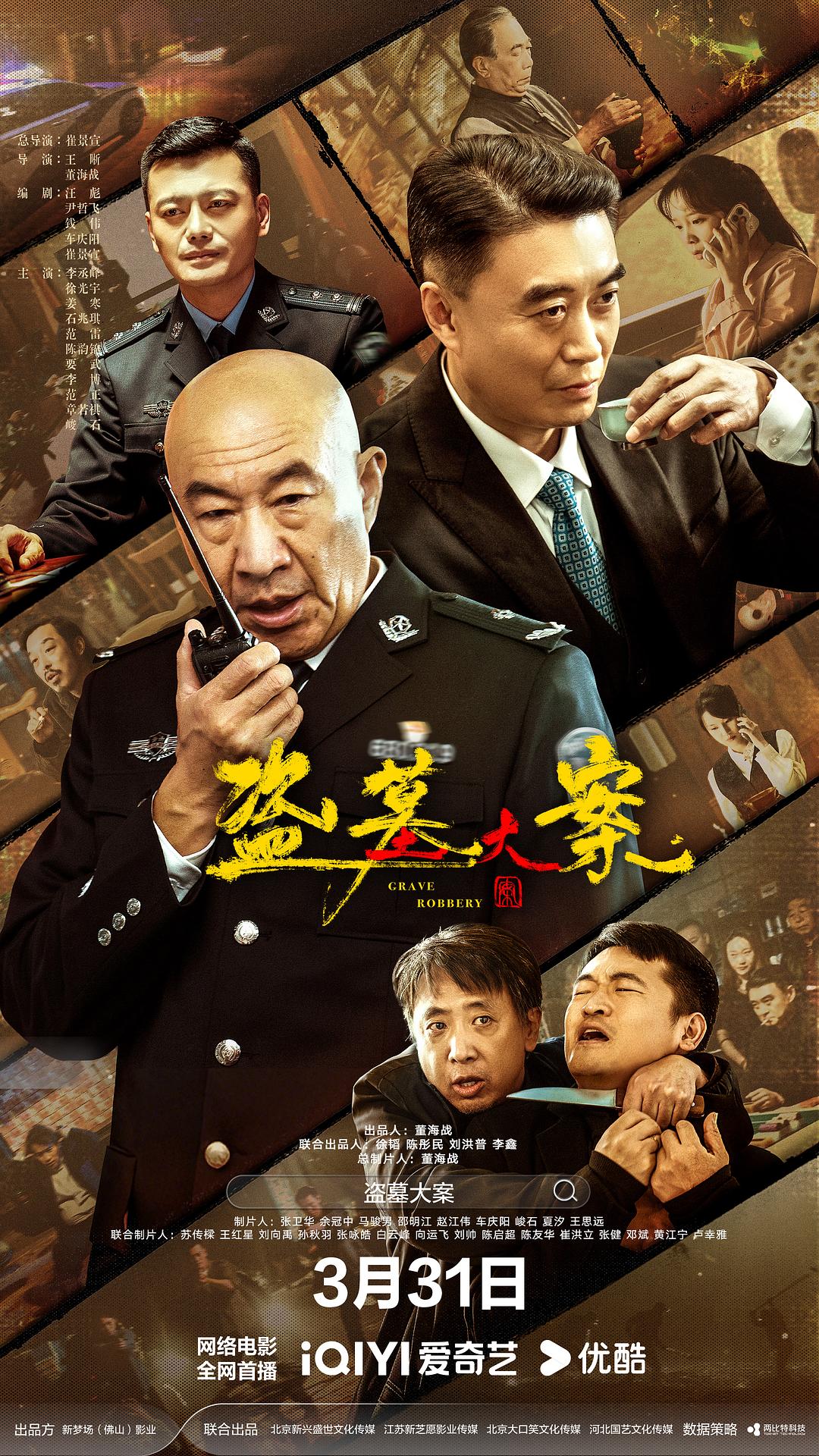 盗墓大案 海报