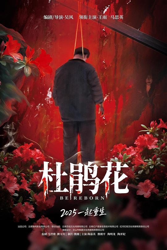 杜鹃花 封面