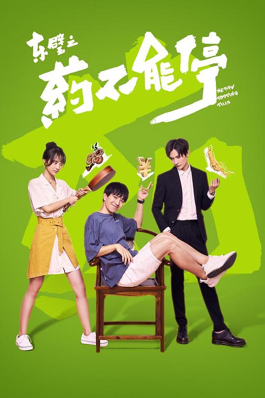 东璧之药不能停 封面