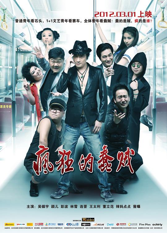 疯狂的蠢贼 封面