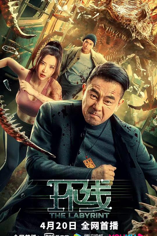 环线 封面