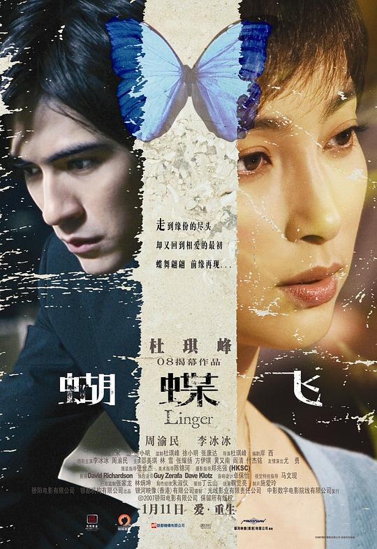 蝴蝶飞 封面