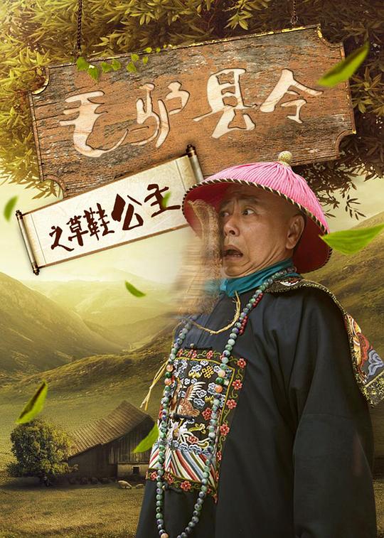 毛驴县令之草鞋公主 封面