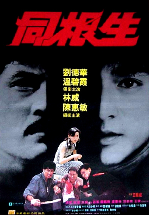 同根生 封面