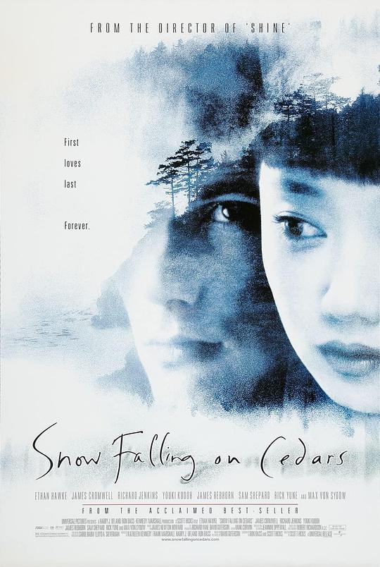 落在香杉树的雪花 封面