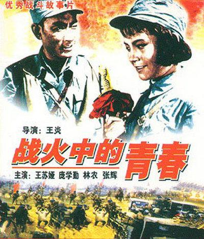 战火中的青春 封面