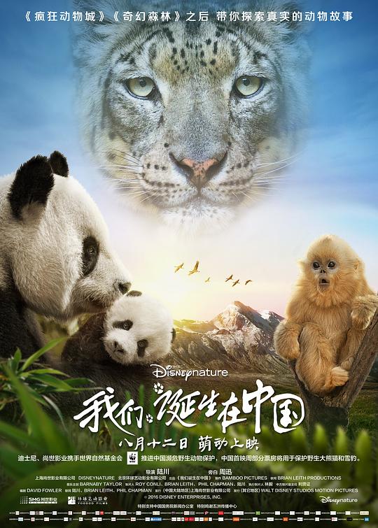 我们诞生在中国 封面