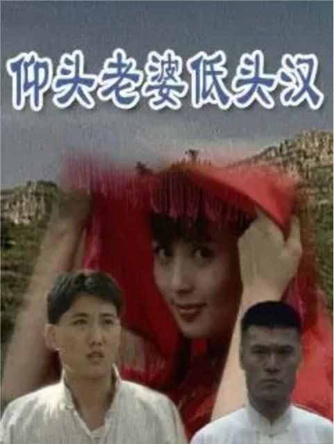 仰头老婆低头汉 封面