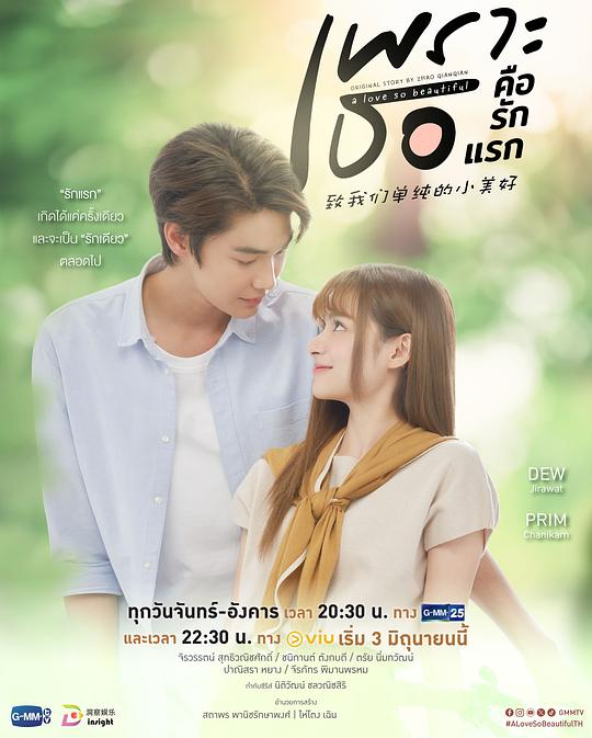 致我们单纯的小美好(泰版) เพราะเธอคือรักแรก 封面