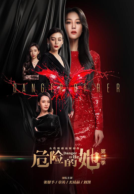 危险的她 第二季 封面