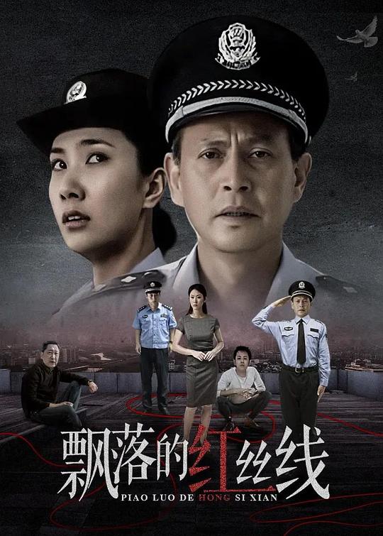 飘落的红丝线 封面
