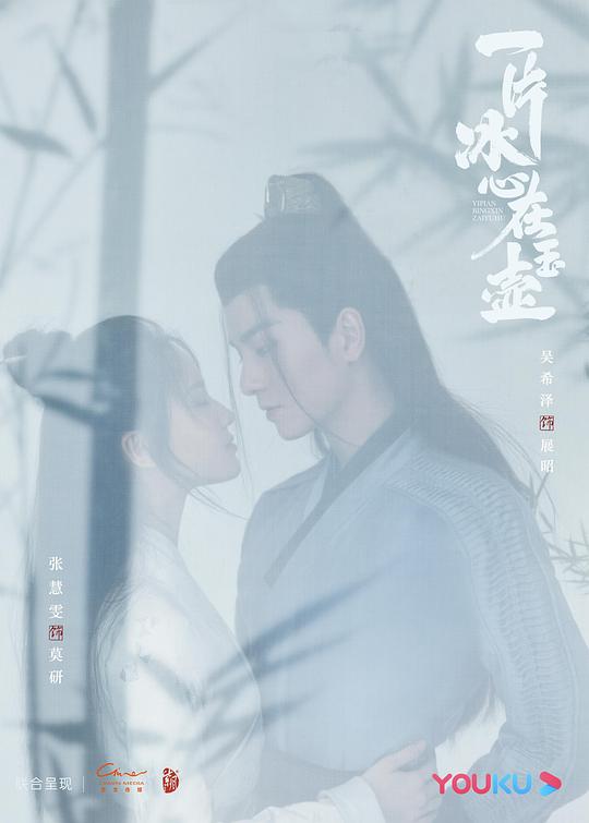 一片冰心在玉壶 封面
