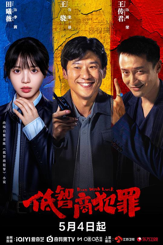 低智商犯罪 海报