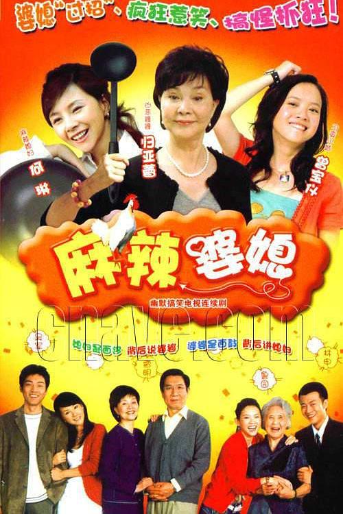麻辣婆媳 封面