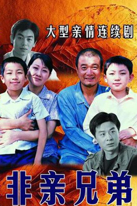 非亲兄弟 封面
