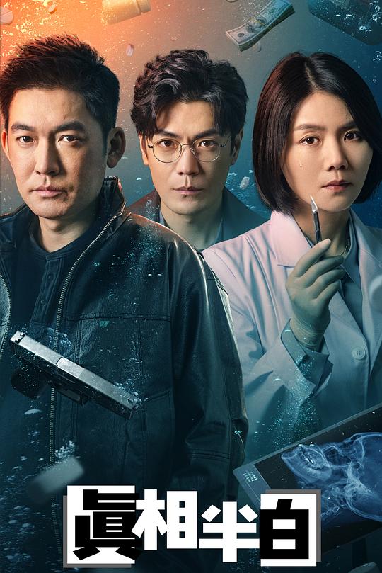 真相半白 封面