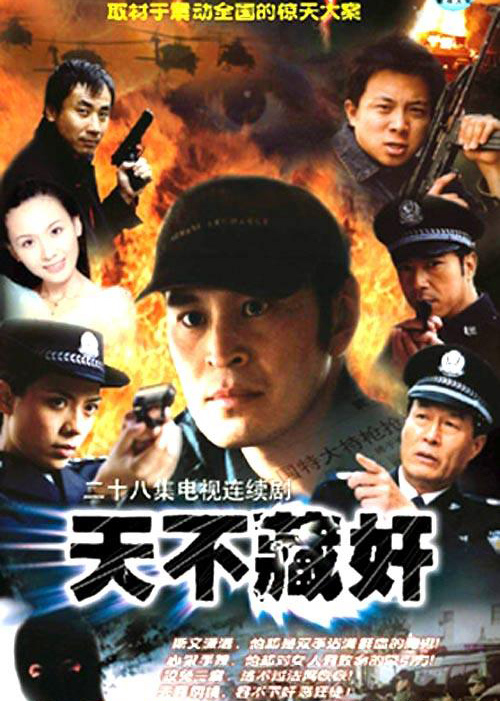 天不藏奸 封面