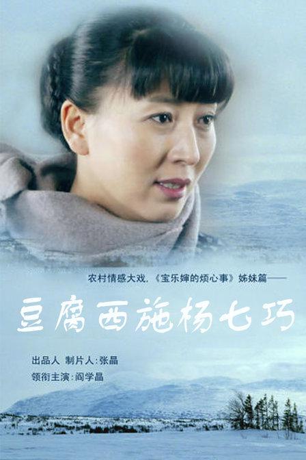 豆腐西施杨七巧 封面