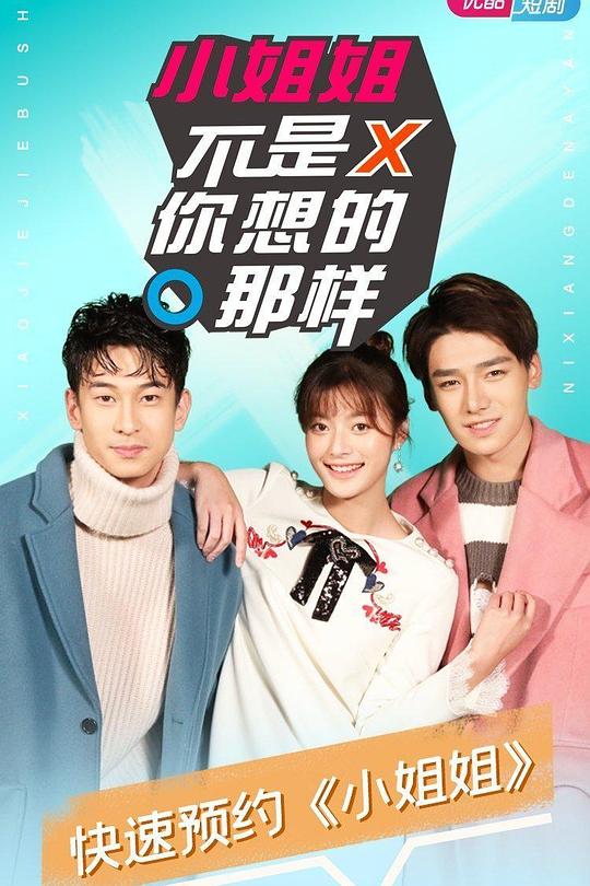 小姐姐不是你想的那样 封面