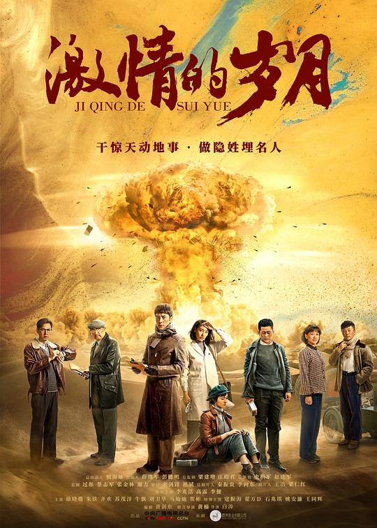 激情的岁月 封面