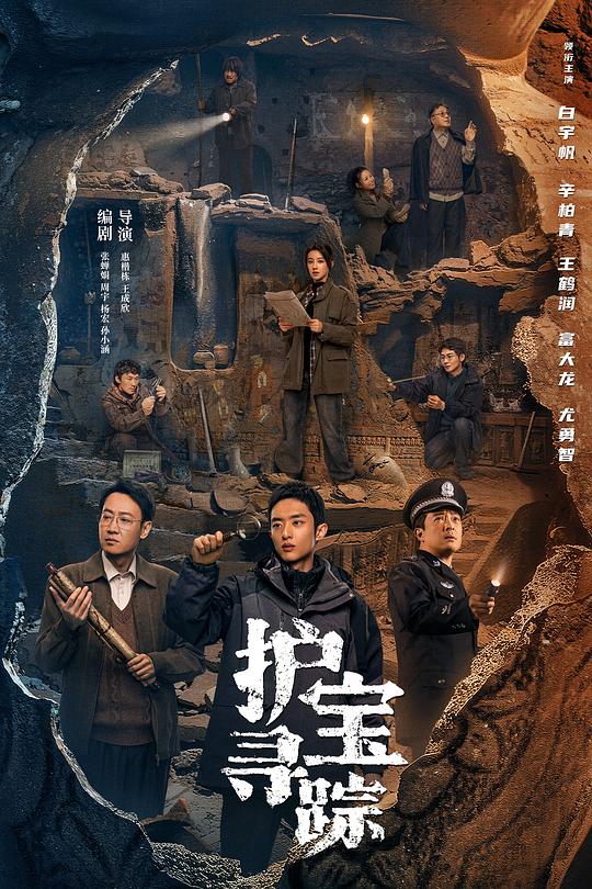 护宝寻踪 封面