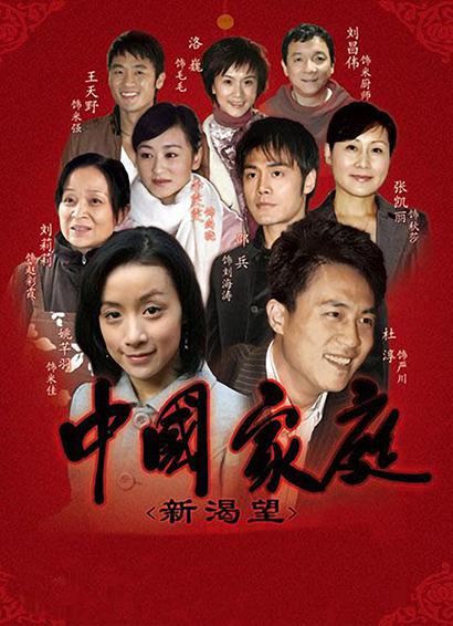 中国家庭之新渴望 封面