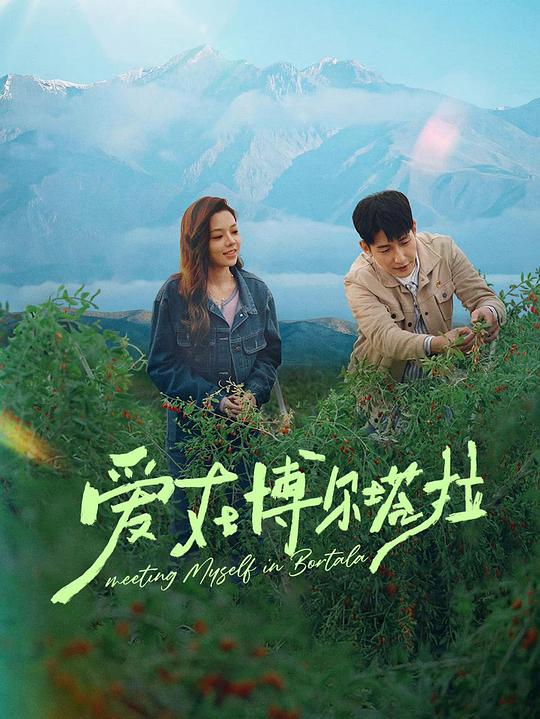 爱在博尔塔拉 海报