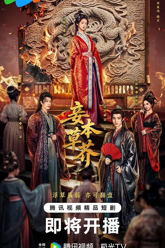妾本草芥 封面